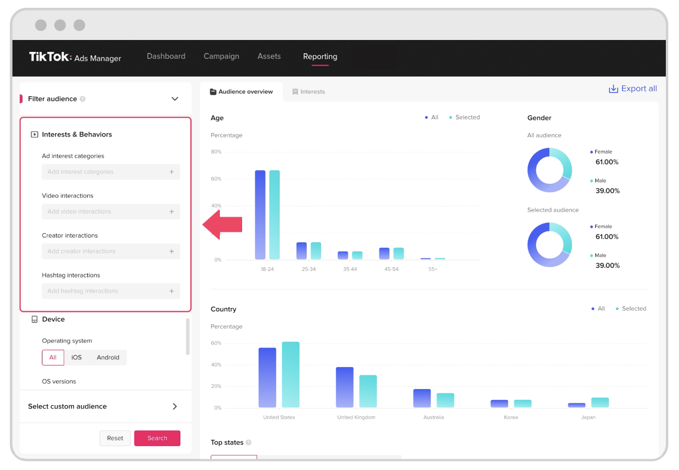 TikTok Audience Insights