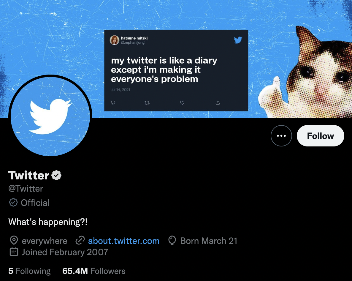 Twitter x Elon Musk 12